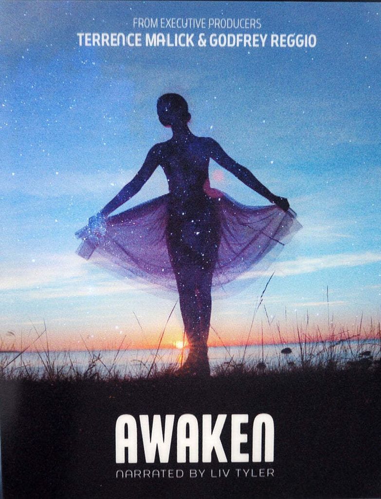 Awaken 4K UHD Blu-ray Slip Cover